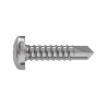 TR Fastenings (4.8 X 19 PUSTDX Z100 UNSERRATED DIN7504) Pan Head Screws