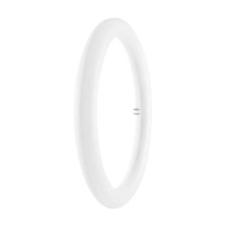 Ledvance (4058075135482) LED Light Bulb, Tube, G10q, Cool White