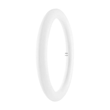 Ledvance (4058075135482) LED Light Bulb, Tube, G10q, Cool White