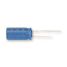 Vishay (MAL215266229E3) Electrolytic Capacitor, 22 uF, 400 V