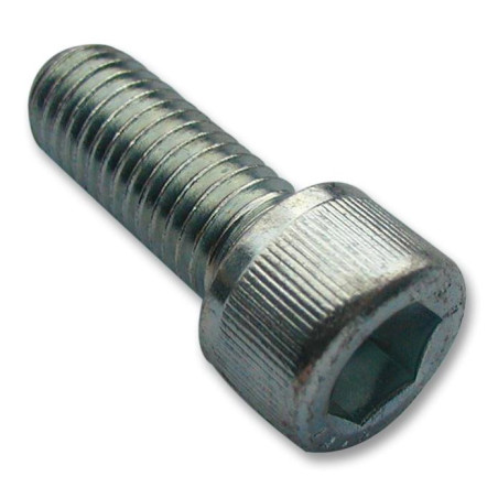 TR Fastenings (M5 16 SO12CS Z100) Socket Screw  Cap  Hex Socket  Steel