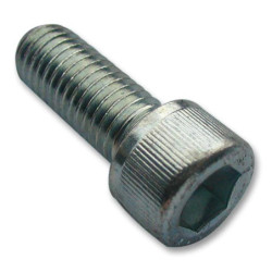 TR Fastenings (M5 8 SO12CS S100) Socket Screw  Cap  Hex Socket