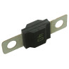LittelFuse 0498040.M Automotive Time Delay Fuse