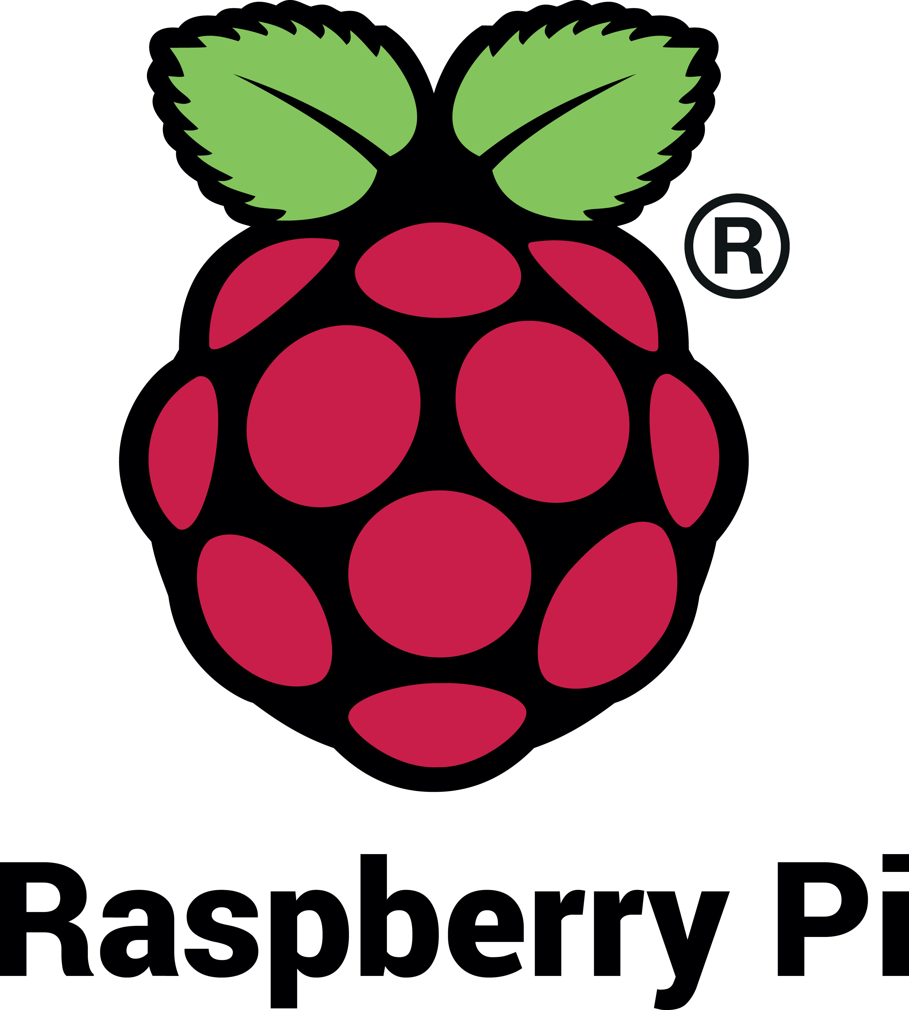 RASPBERRY PI